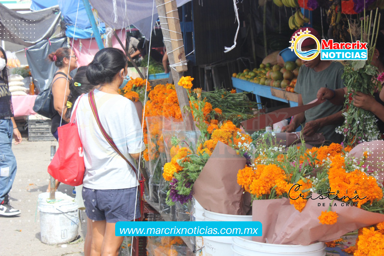 Poco el incremento del precio de las flores de Cempasúchil en el Mercado 23  de Cancún -